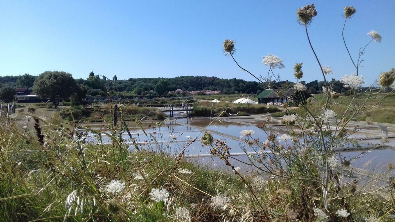 Appartamento La Chaumette Les Sables-dʼOlonne Esterno foto